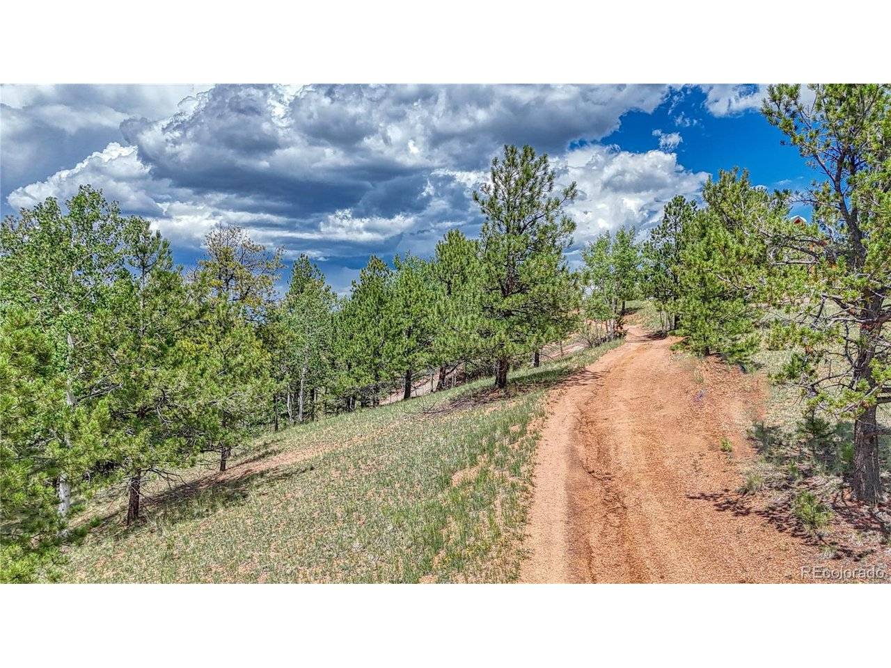24 Wild Horse, Cripple Creek, CO 80813