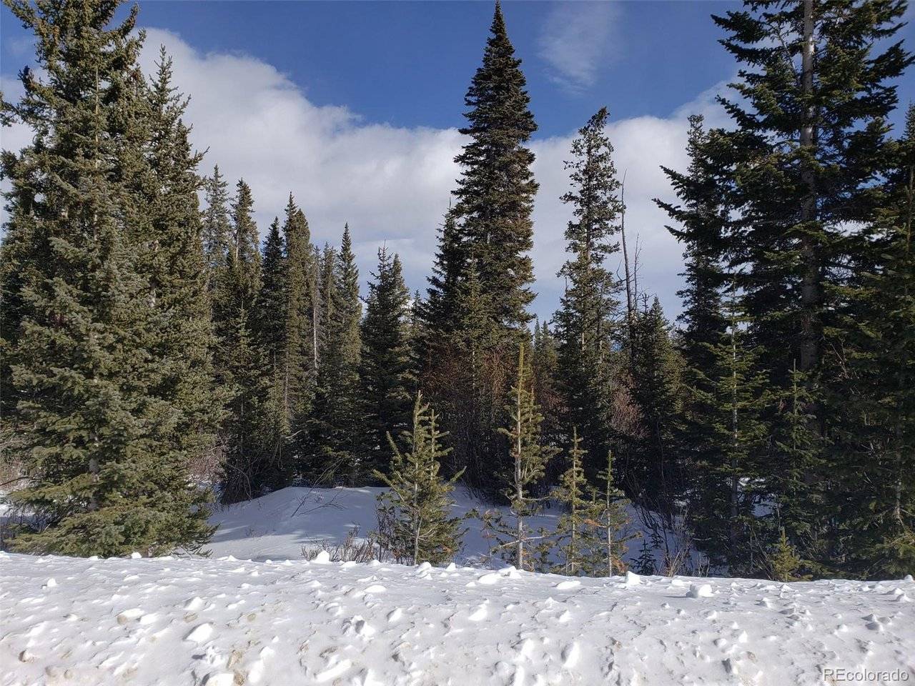585 Porcupine, Fairplay, CO 80440