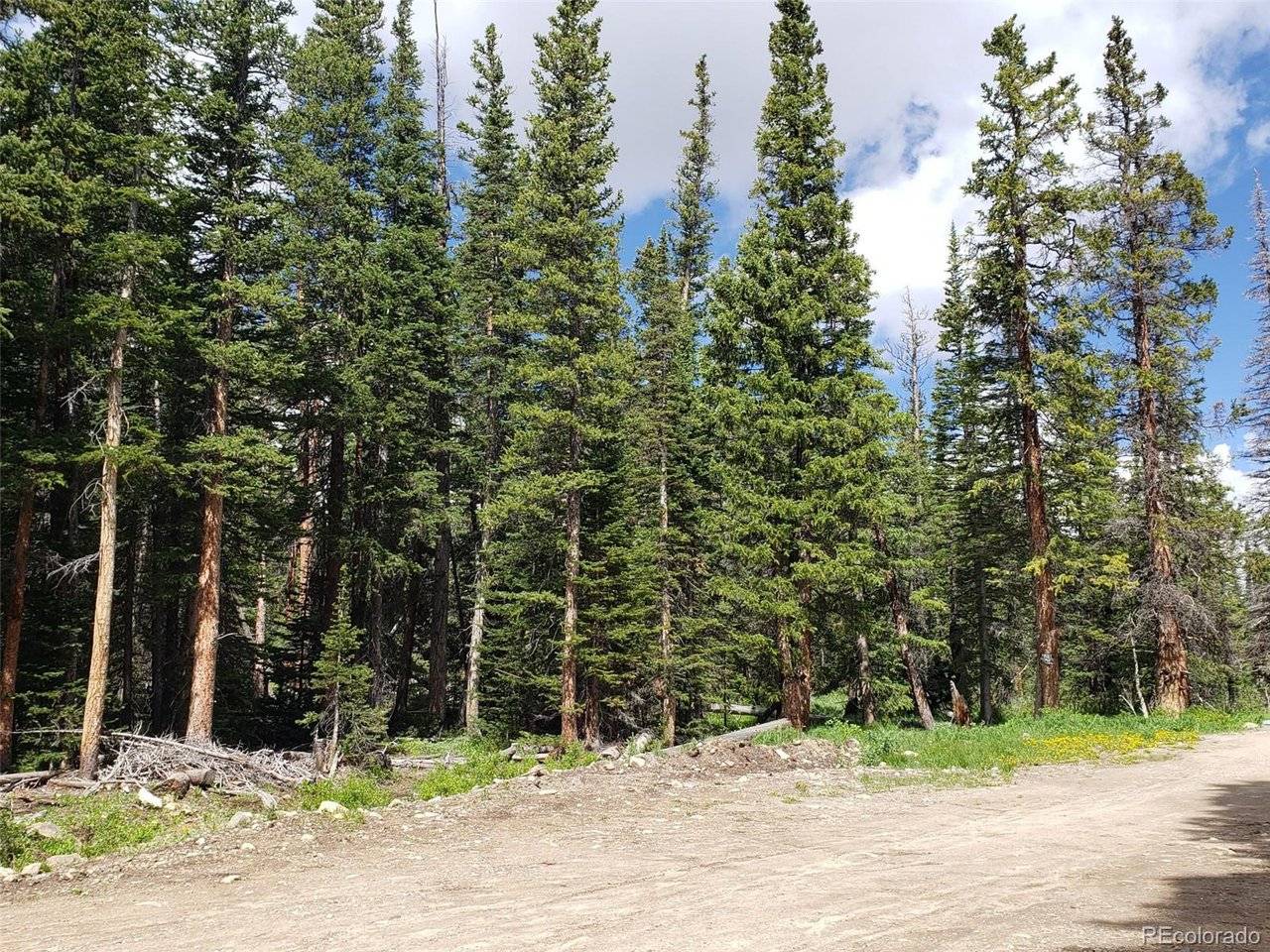 585 Porcupine, Fairplay, CO 80440