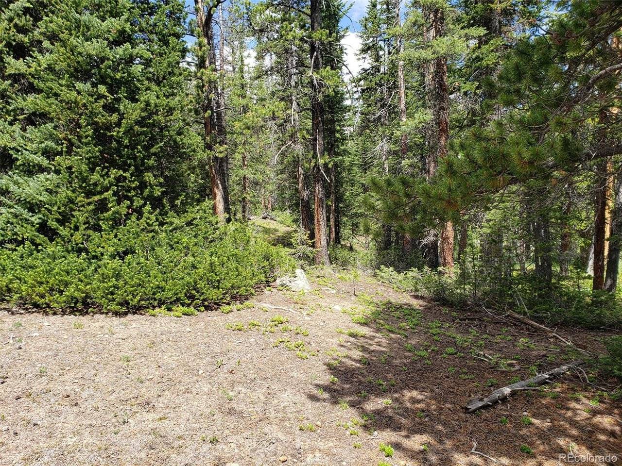 585 Porcupine, Fairplay, CO 80440