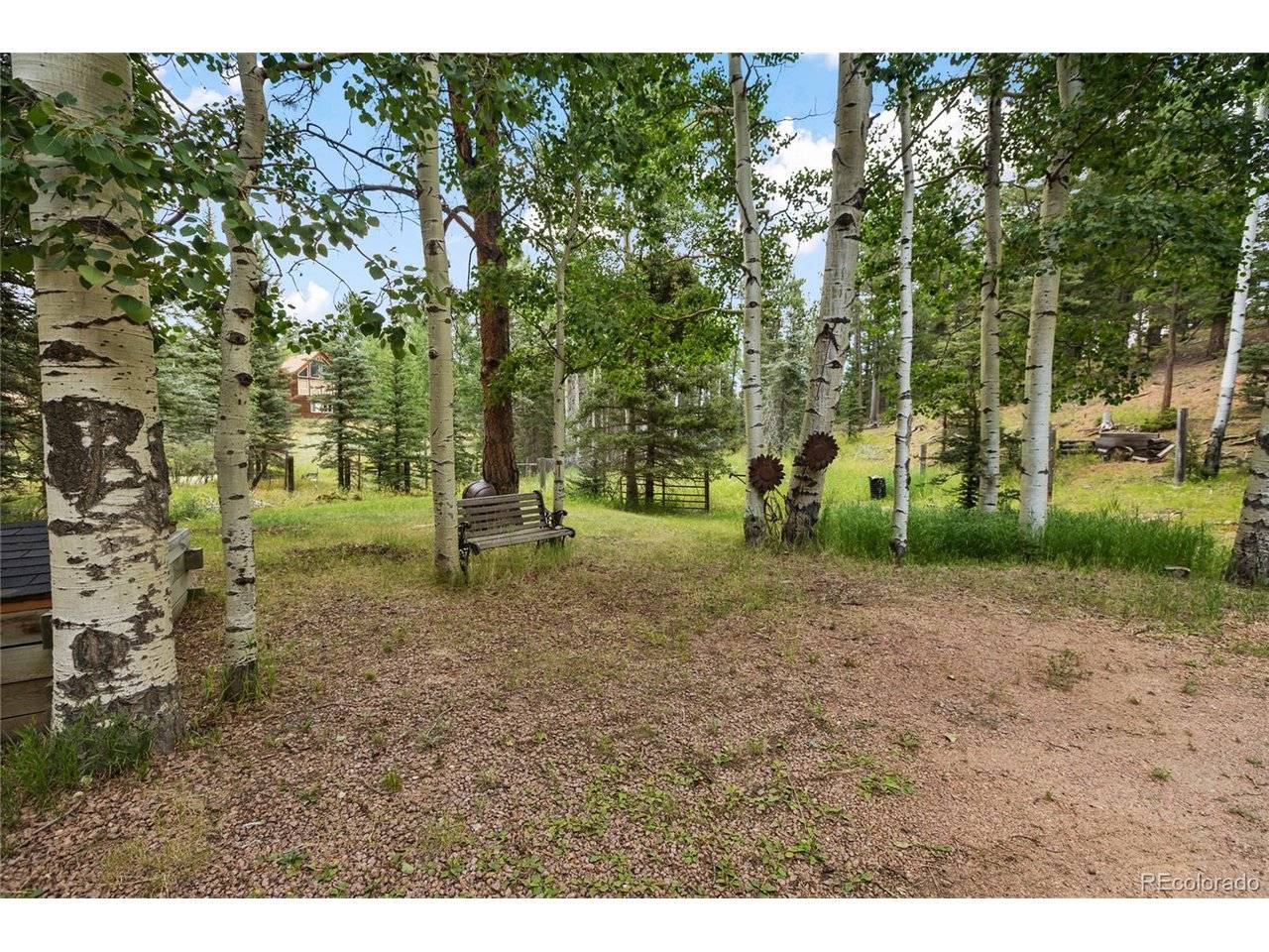 56 Blue Jay, Divide, CO 80814