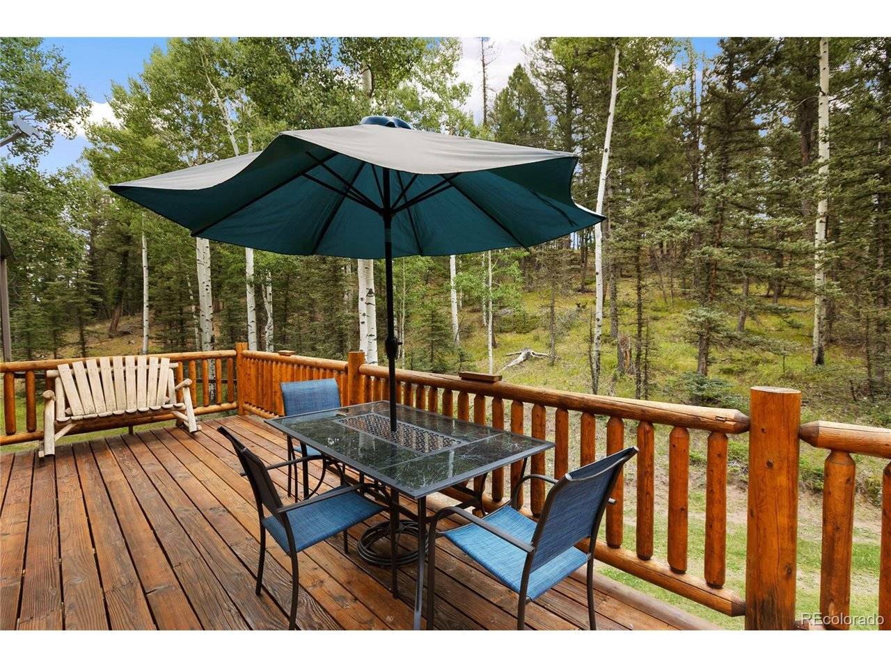 56 Blue Jay, Divide, CO 80814