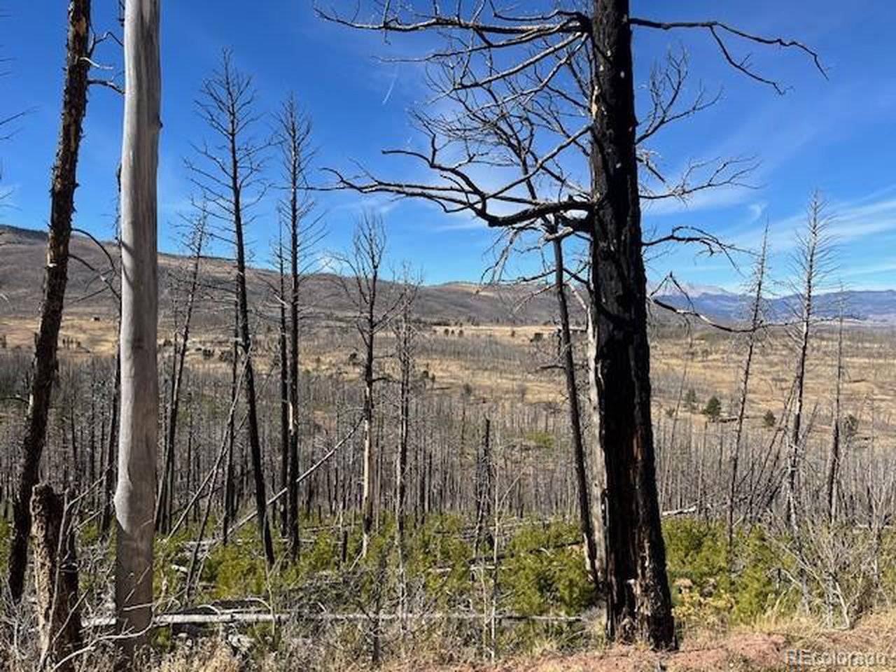 1741 Mathlide, Fort Garland, CO 81133