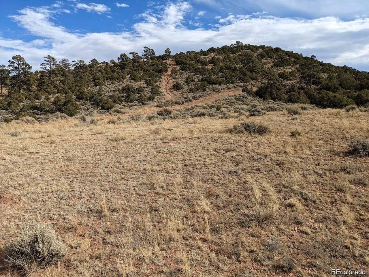 Address not disclosed, Fort Garland, CO 81133