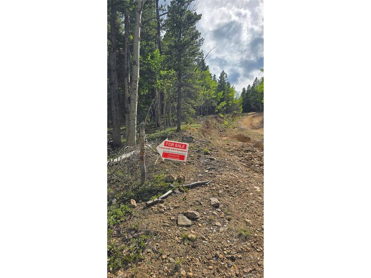 1 S Spring Gulch, Idaho Springs, CO 80452