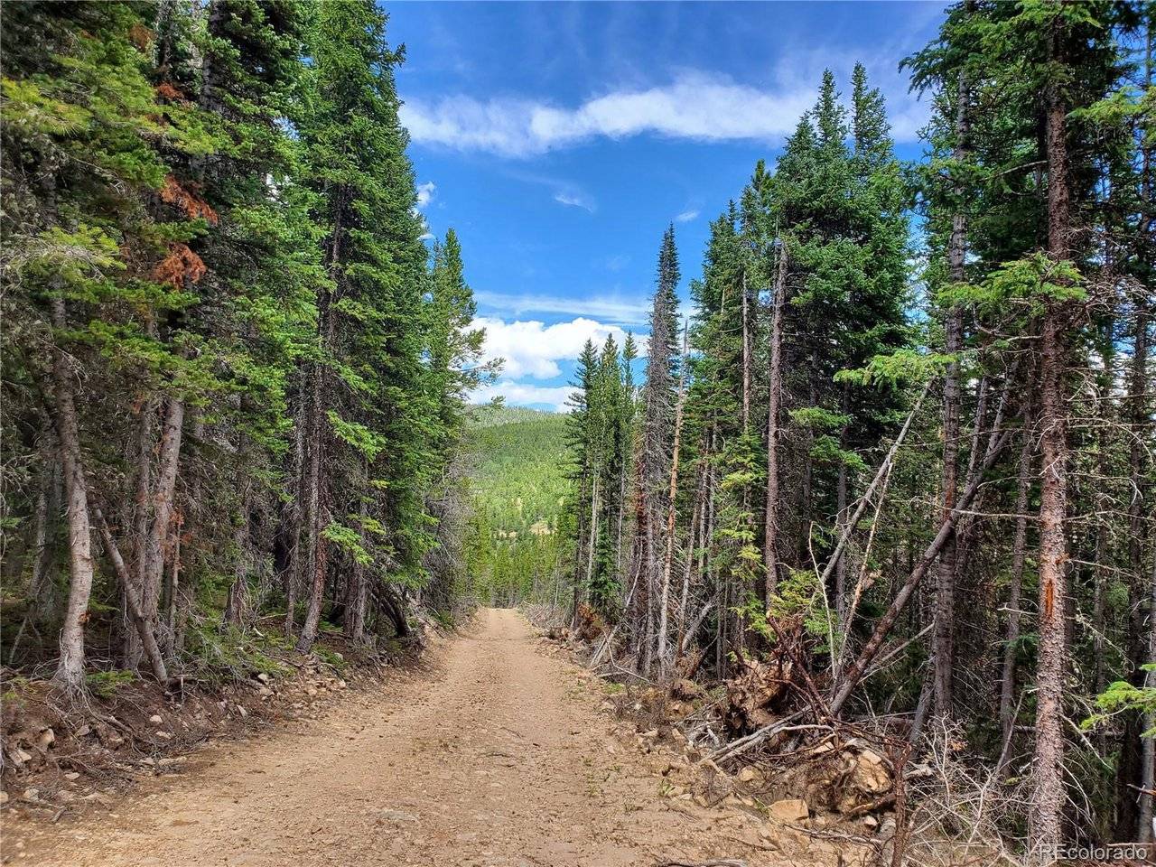 1 S Spring Gulch, Idaho Springs, CO 80452