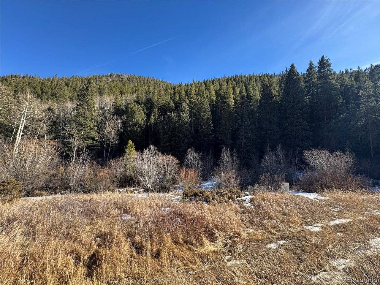 0 Highway 103, Idaho Springs, CO 80452