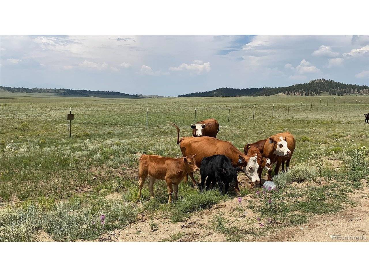 878 Cheyenne, Hartsel, CO 80449