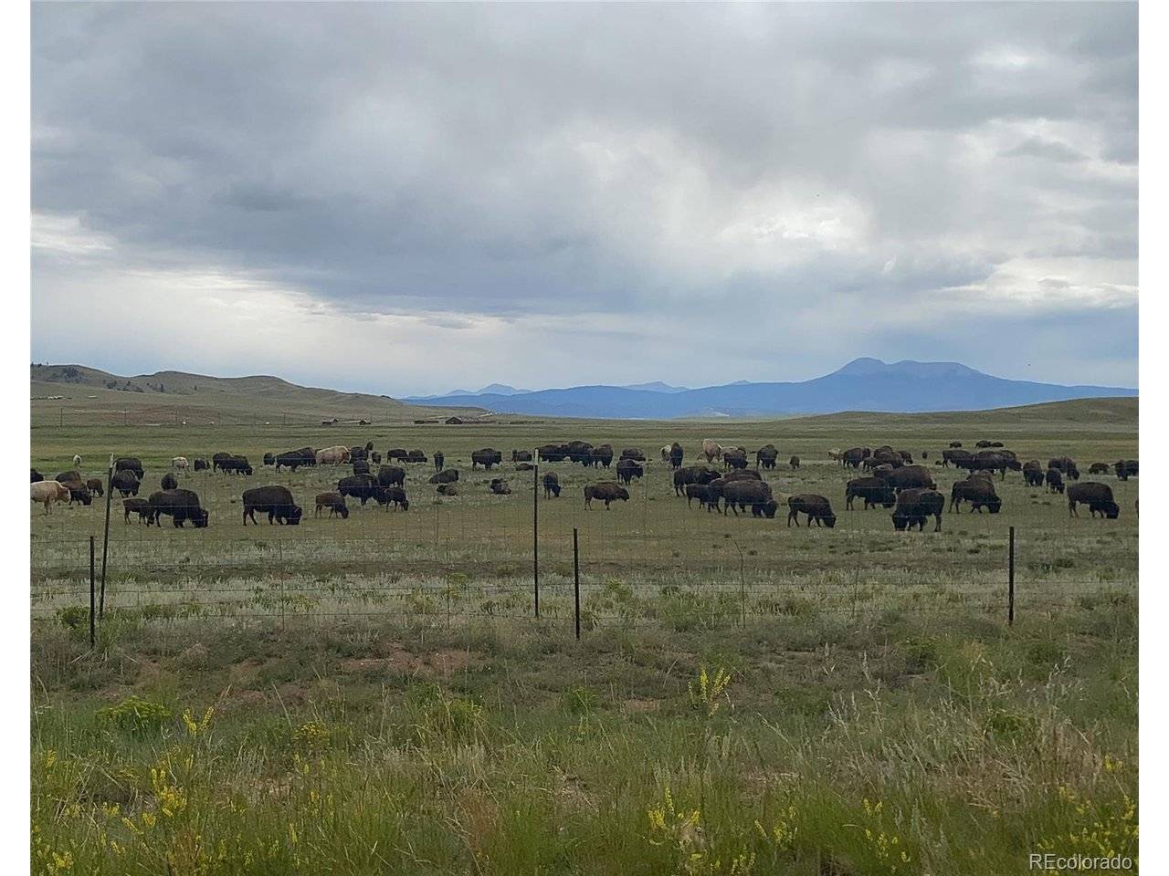 878 Cheyenne, Hartsel, CO 80449