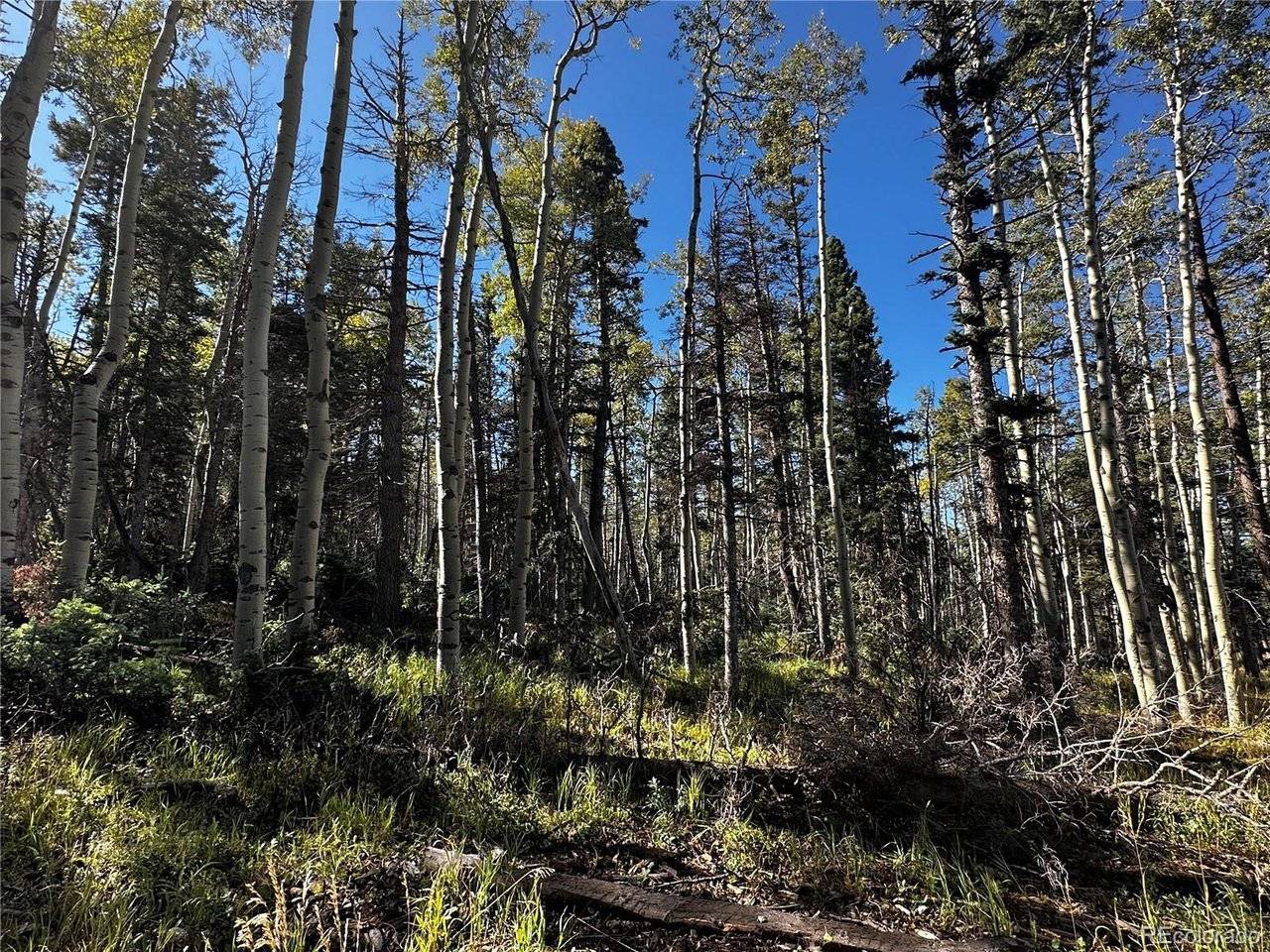 2652 Petito, Fort Garland, CO 81133
