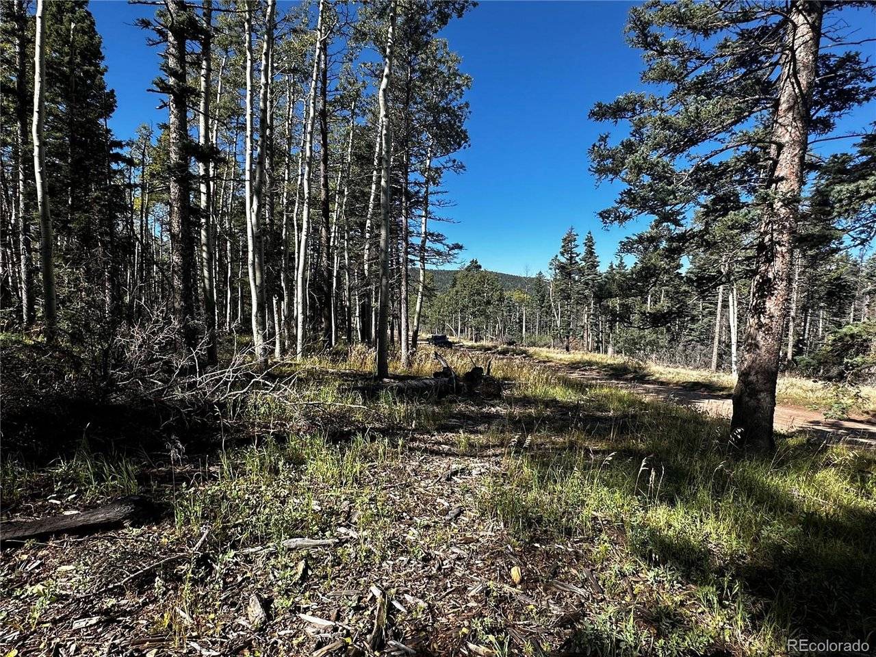 2652 Petito, Fort Garland, CO 81133