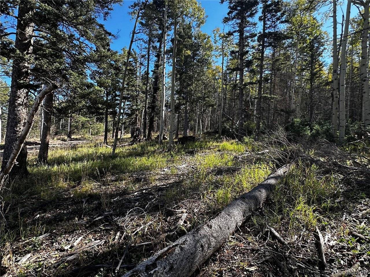 2652 Petito, Fort Garland, CO 81133