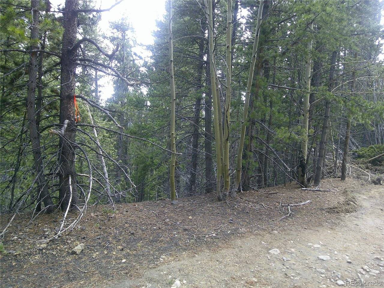 441 Hillside, Idaho Springs, CO 80452