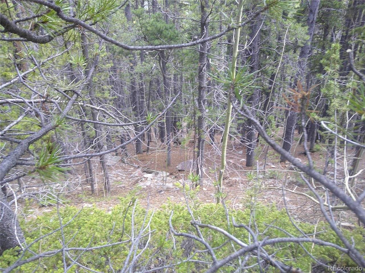 441 Hillside, Idaho Springs, CO 80452