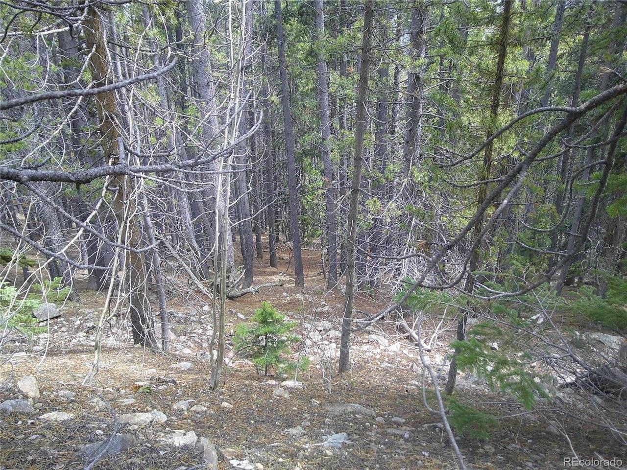 441 Hillside, Idaho Springs, CO 80452