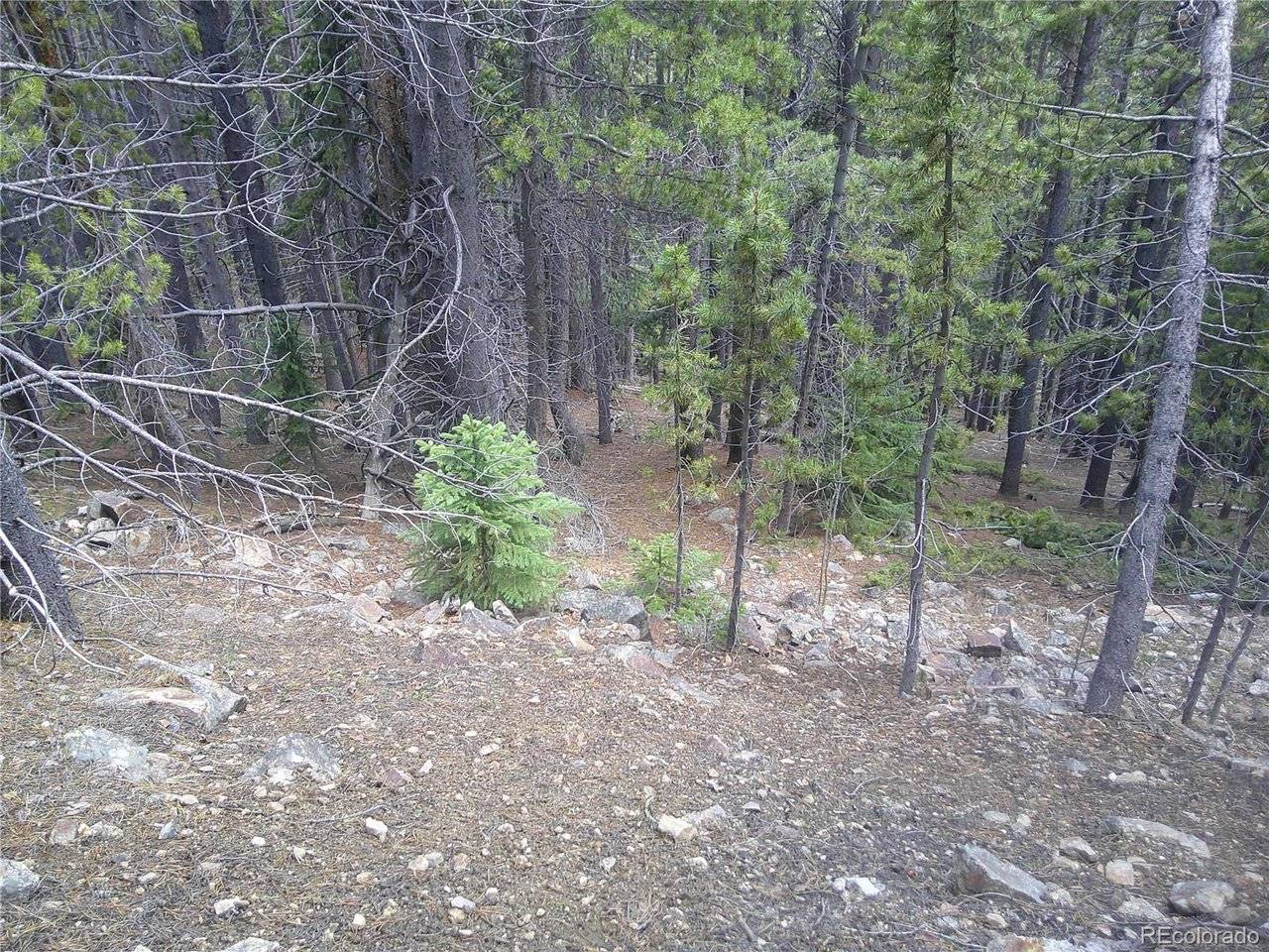 441 Hillside, Idaho Springs, CO 80452