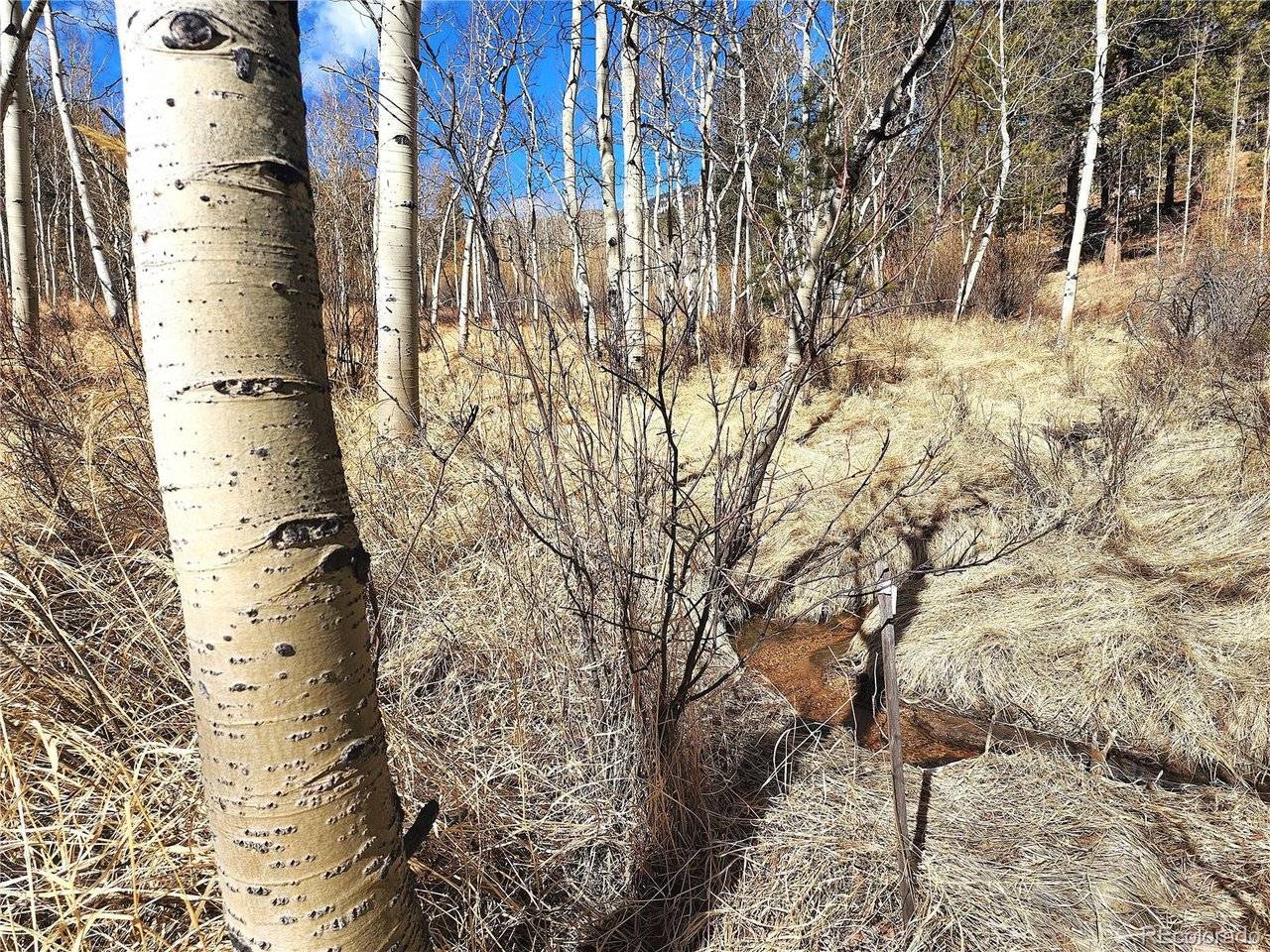 144 Gray, Bailey, CO 80421