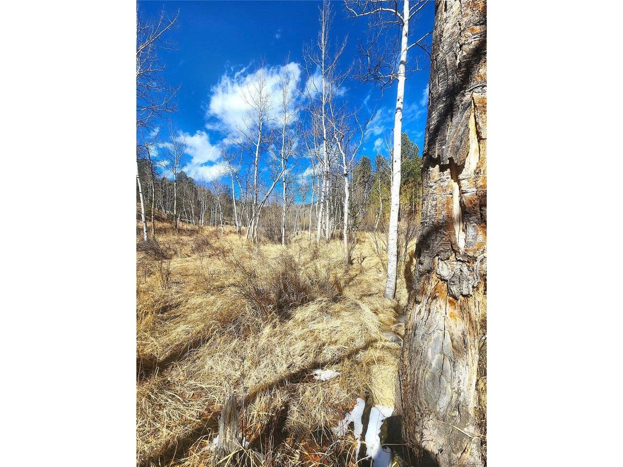 144 Gray, Bailey, CO 80421