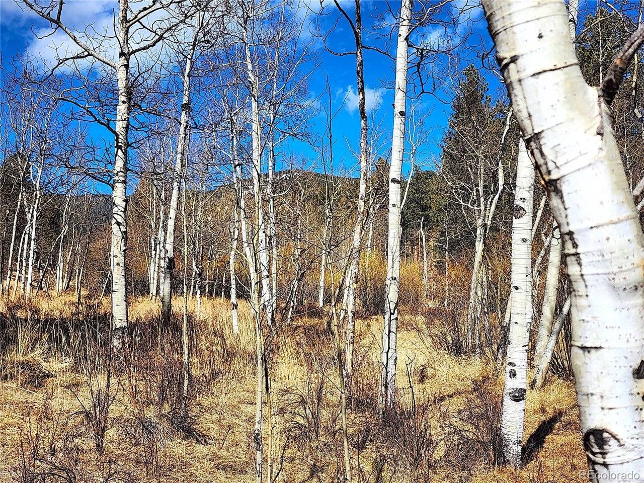 144 Gray, Bailey, CO 80421