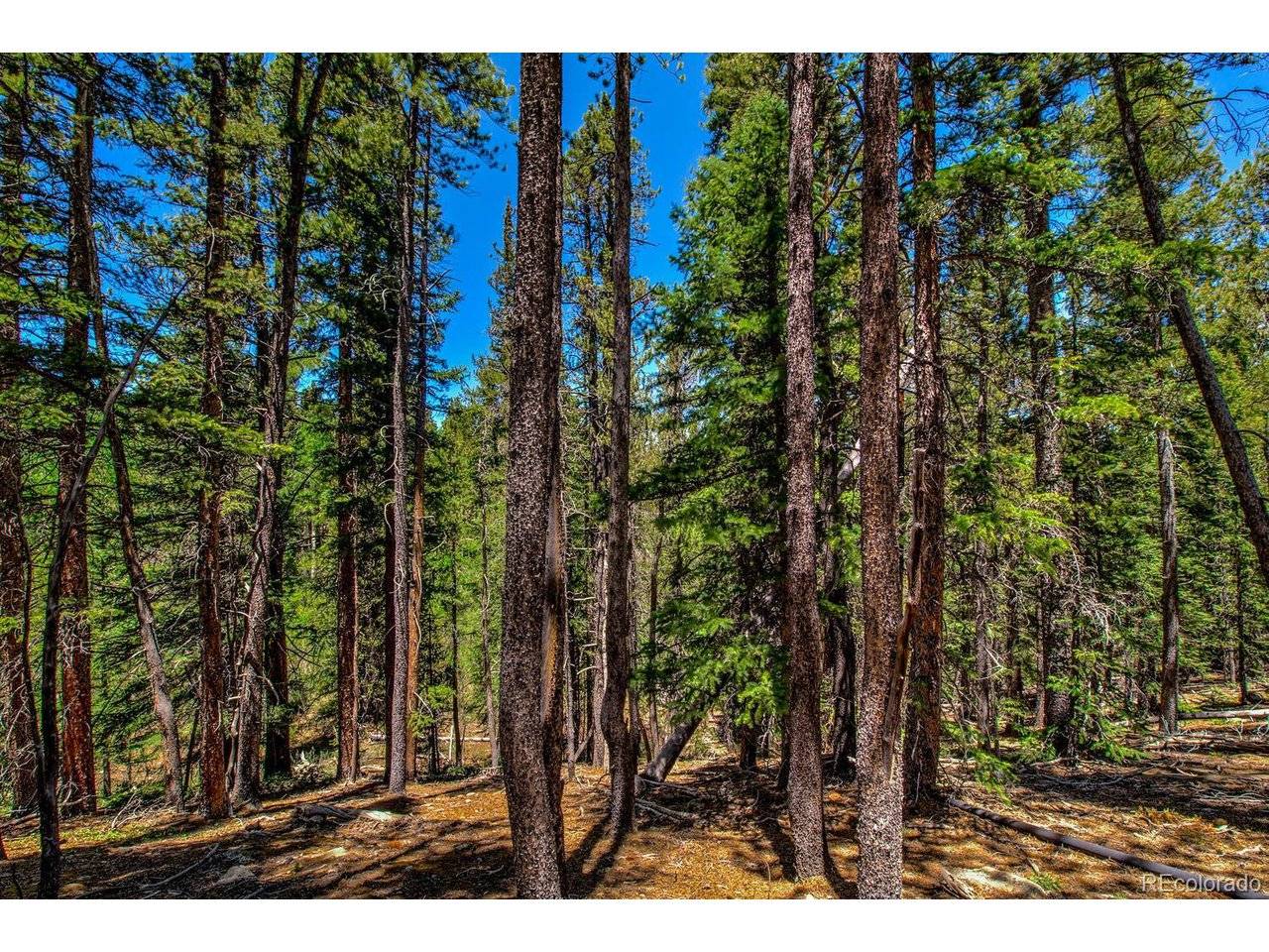 4100 CO RD 1, Fairplay, CO 80440