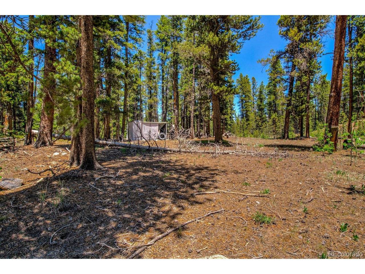 4100 CO RD 1, Fairplay, CO 80440