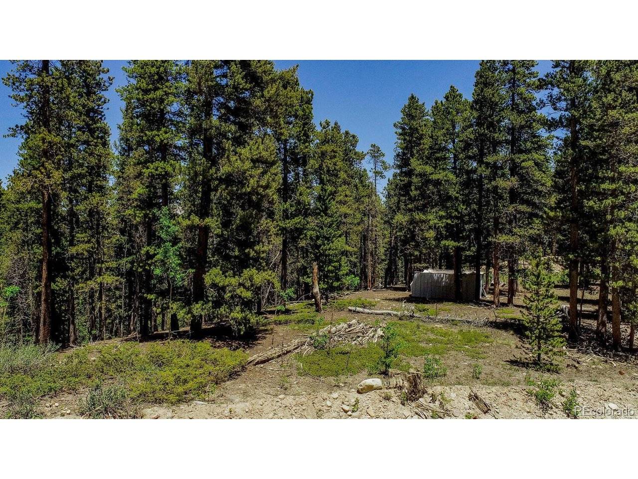 4100 CO RD 1, Fairplay, CO 80440