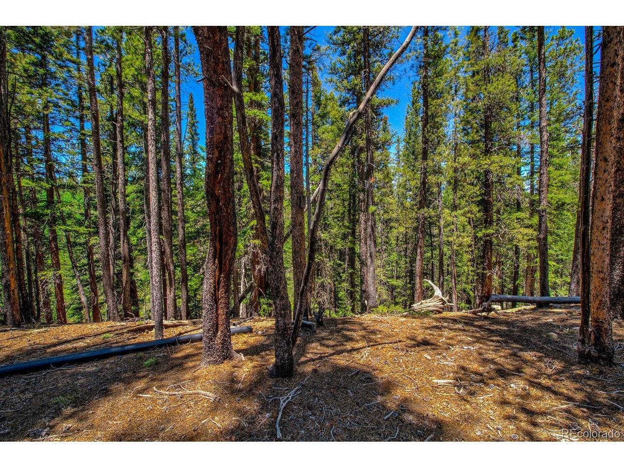 4100 CO RD 1, Fairplay, CO 80440