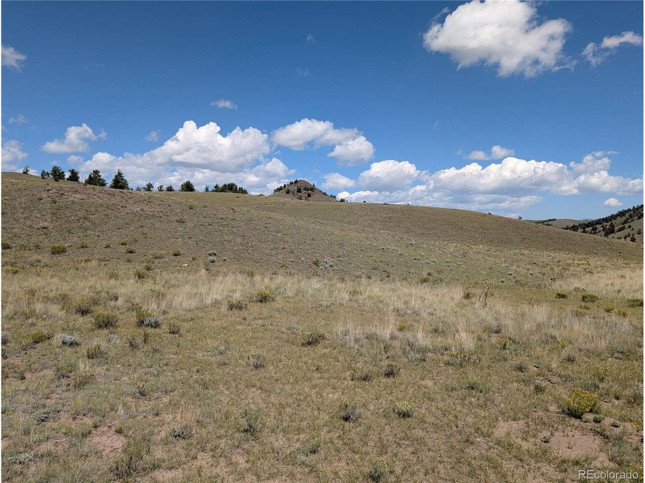 0 Cherokee, Hartsel, CO 80449
