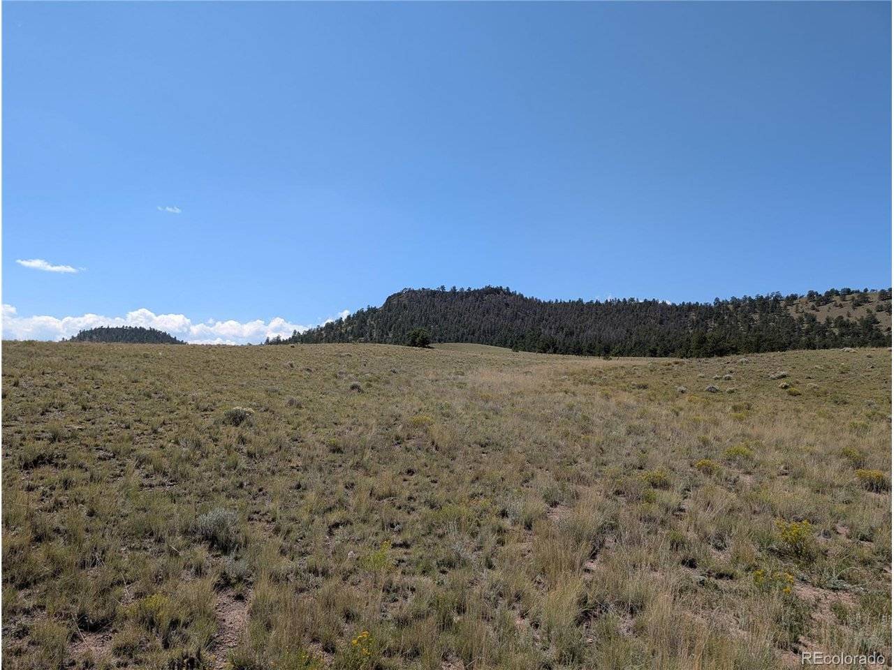 0 Cherokee, Hartsel, CO 80449