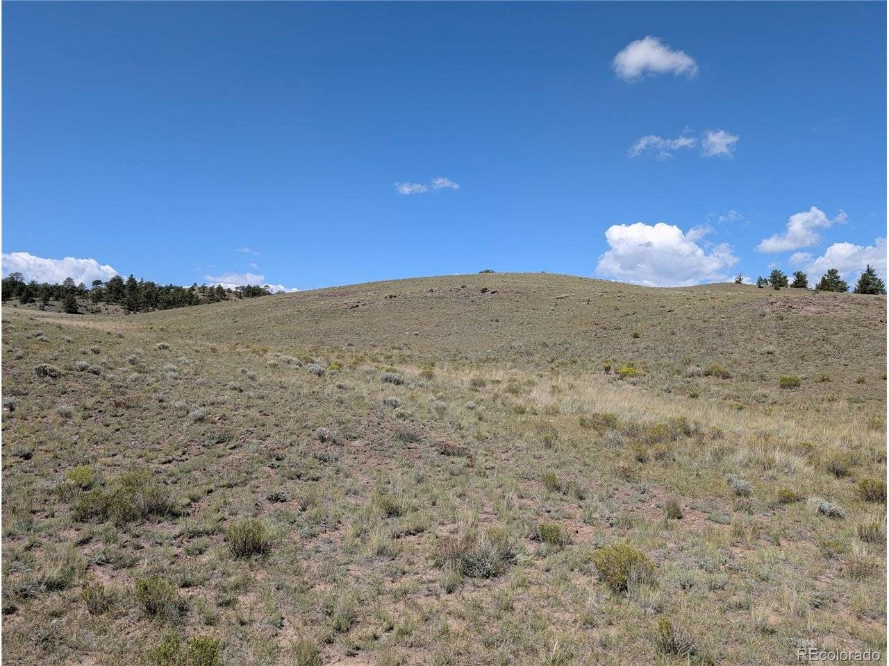 0 Cherokee, Hartsel, CO 80449