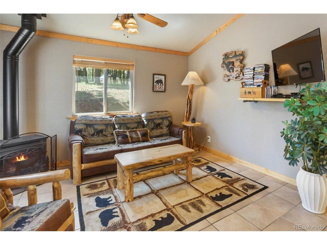 31 Handcart, Florissant, CO 80816
