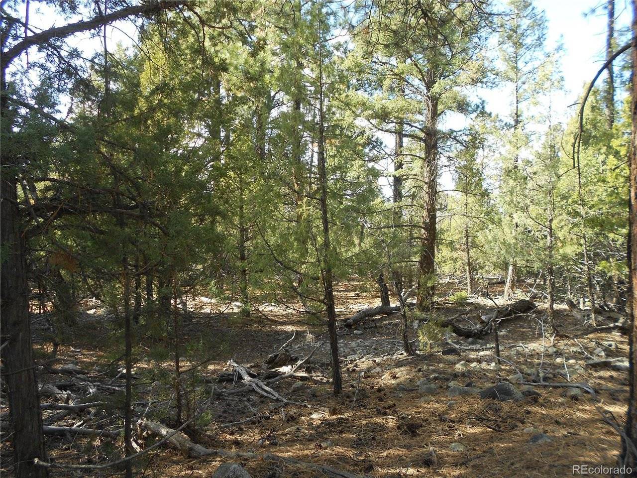 206 W Zapata, Mosca, CO 81146