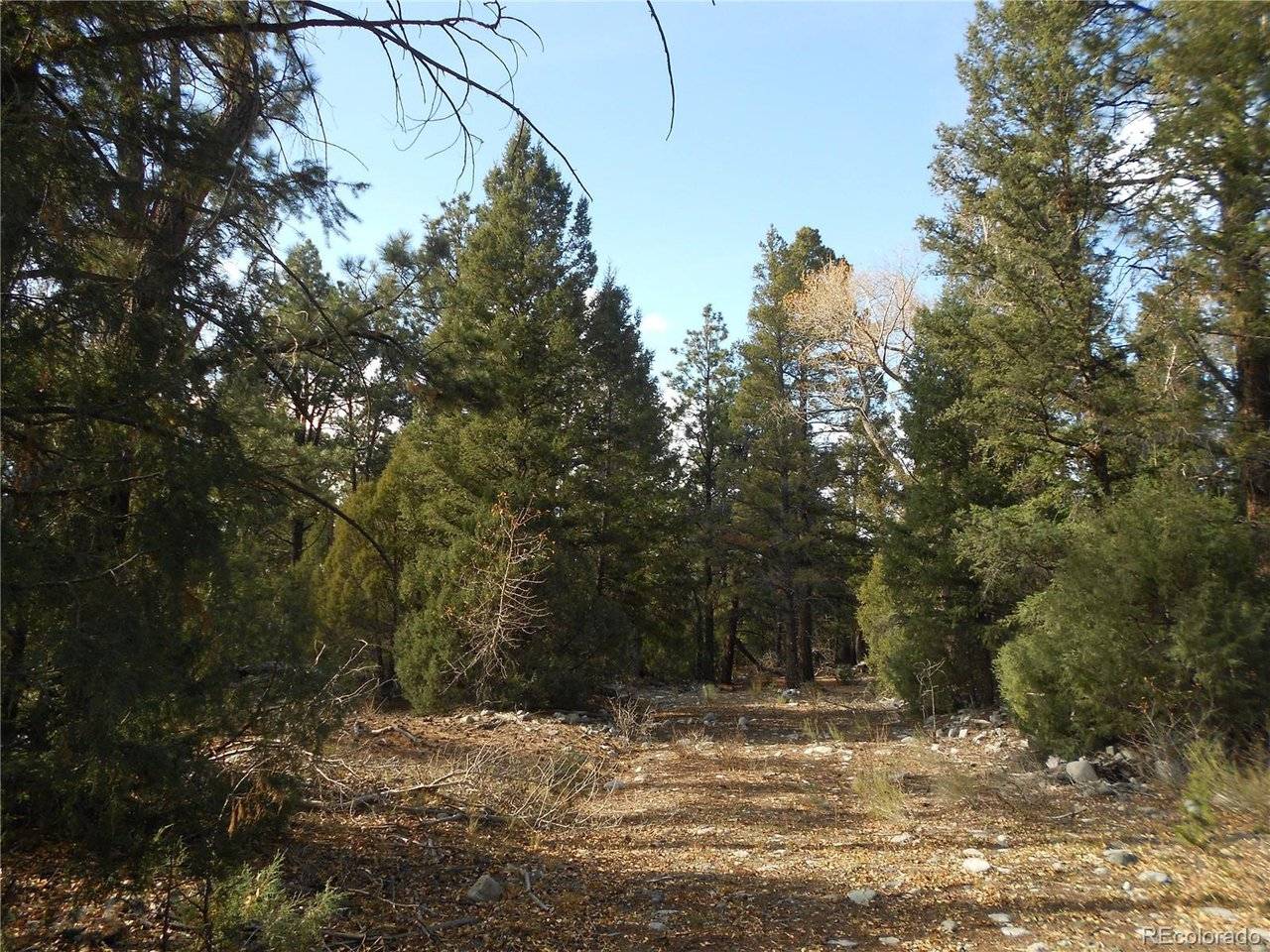 206 W Zapata, Mosca, CO 81146
