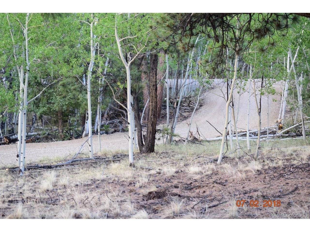 1080 Brahma, Hartsel, CO 80449