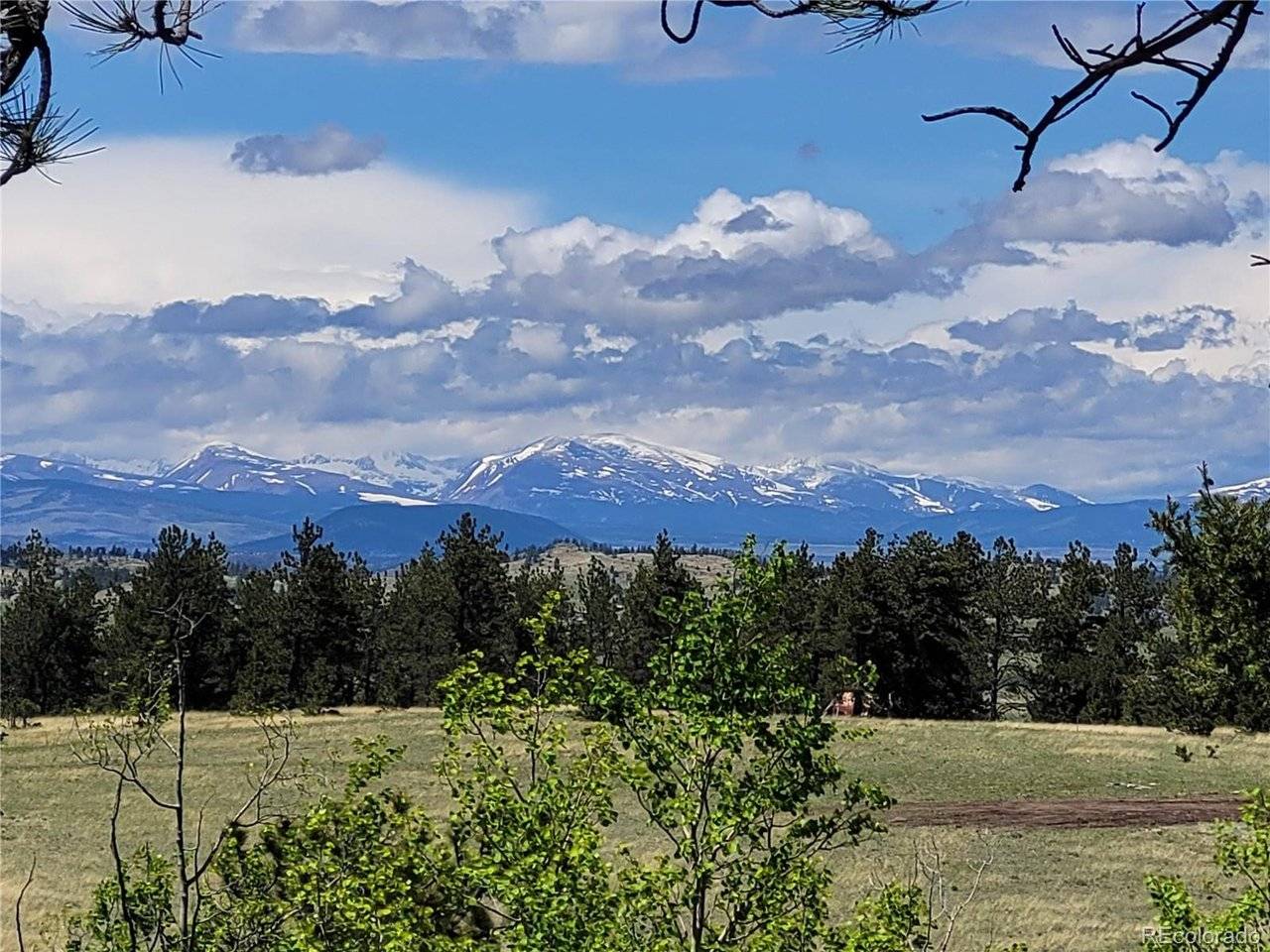 1080 Brahma, Hartsel, CO 80449