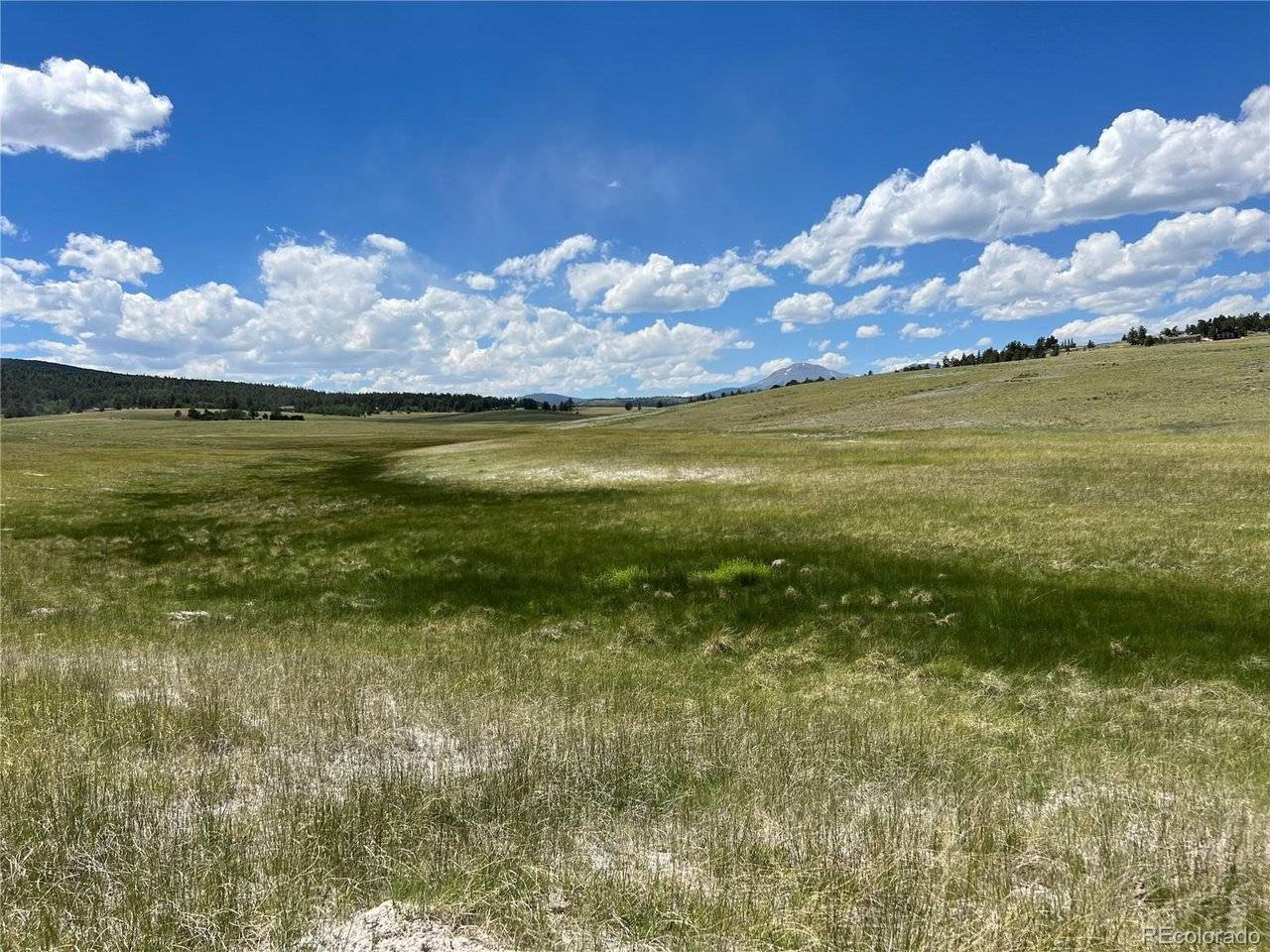 3255 Ranch, Hartsel, CO 80449