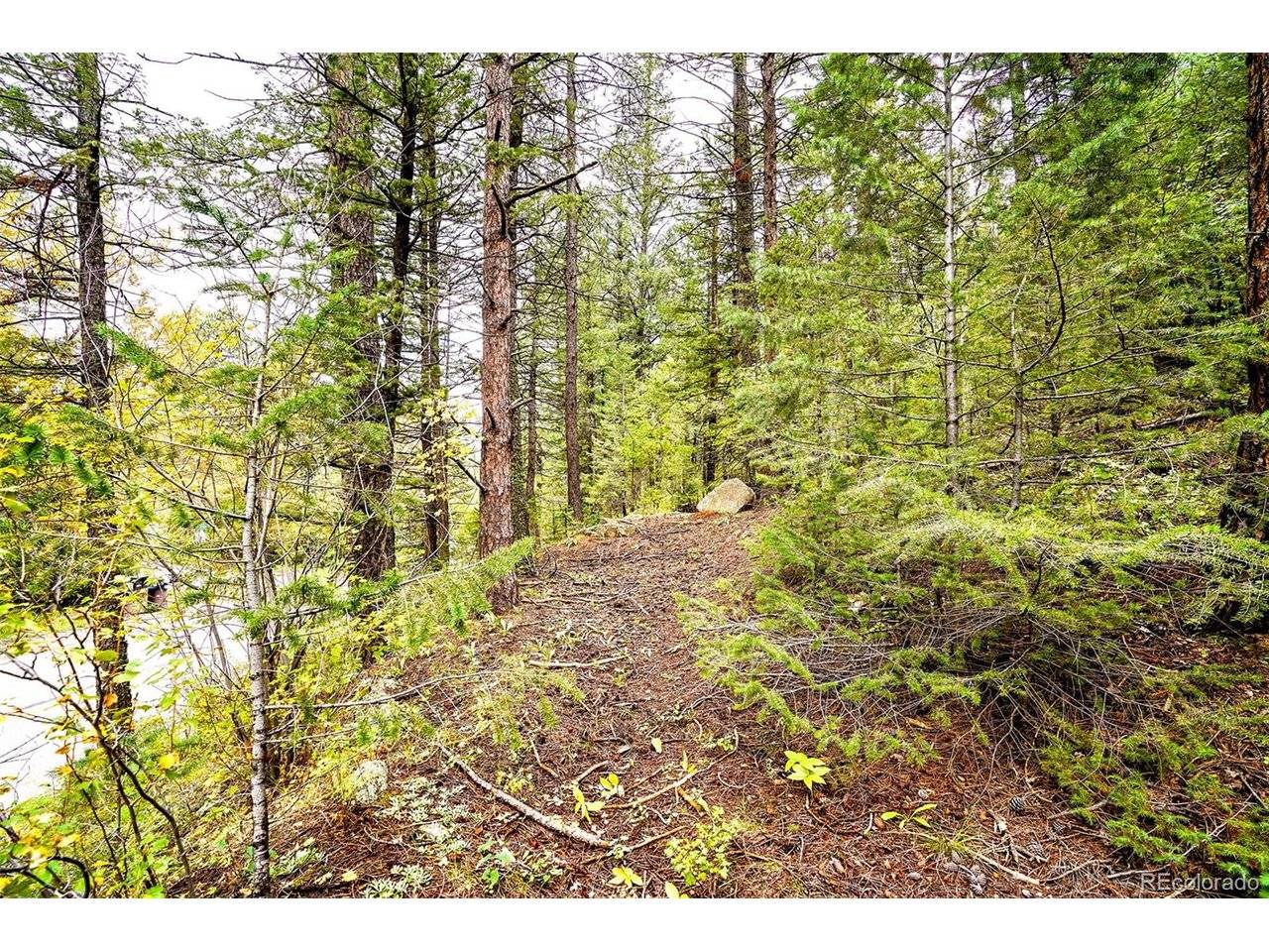 10862 Twin Spruce, Golden, CO 80403