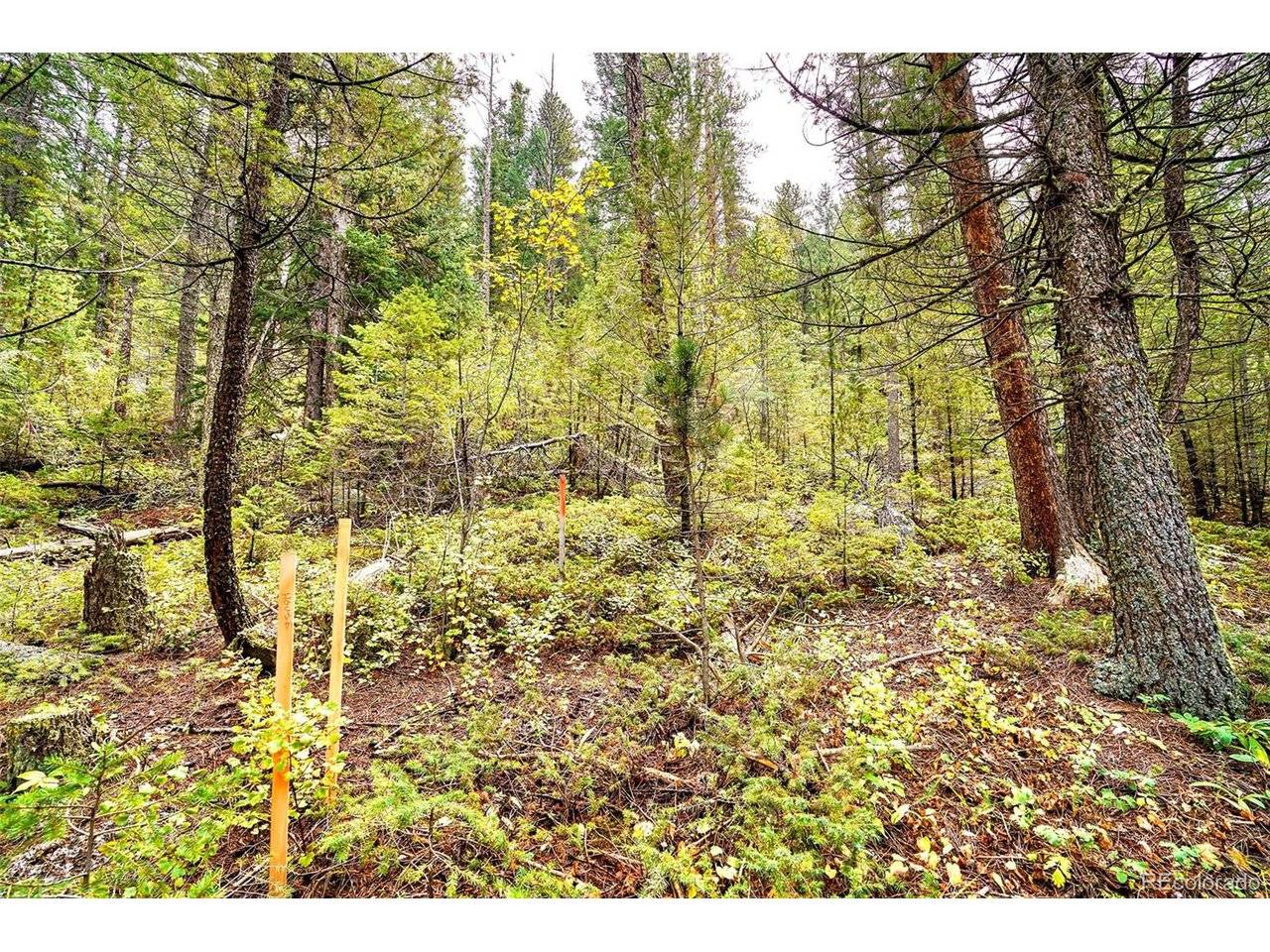 10862 Twin Spruce, Golden, CO 80403