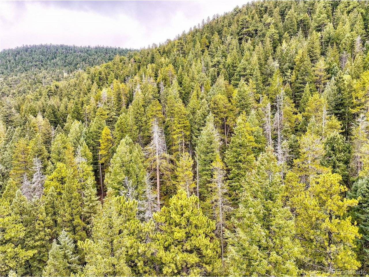 10862 Twin Spruce, Golden, CO 80403