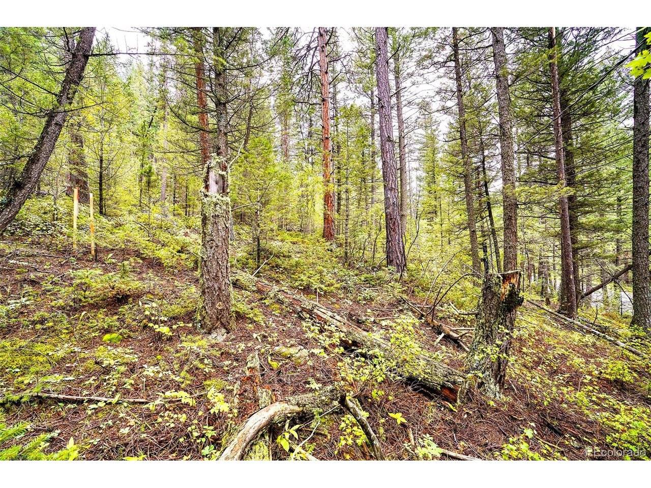 10862 Twin Spruce, Golden, CO 80403