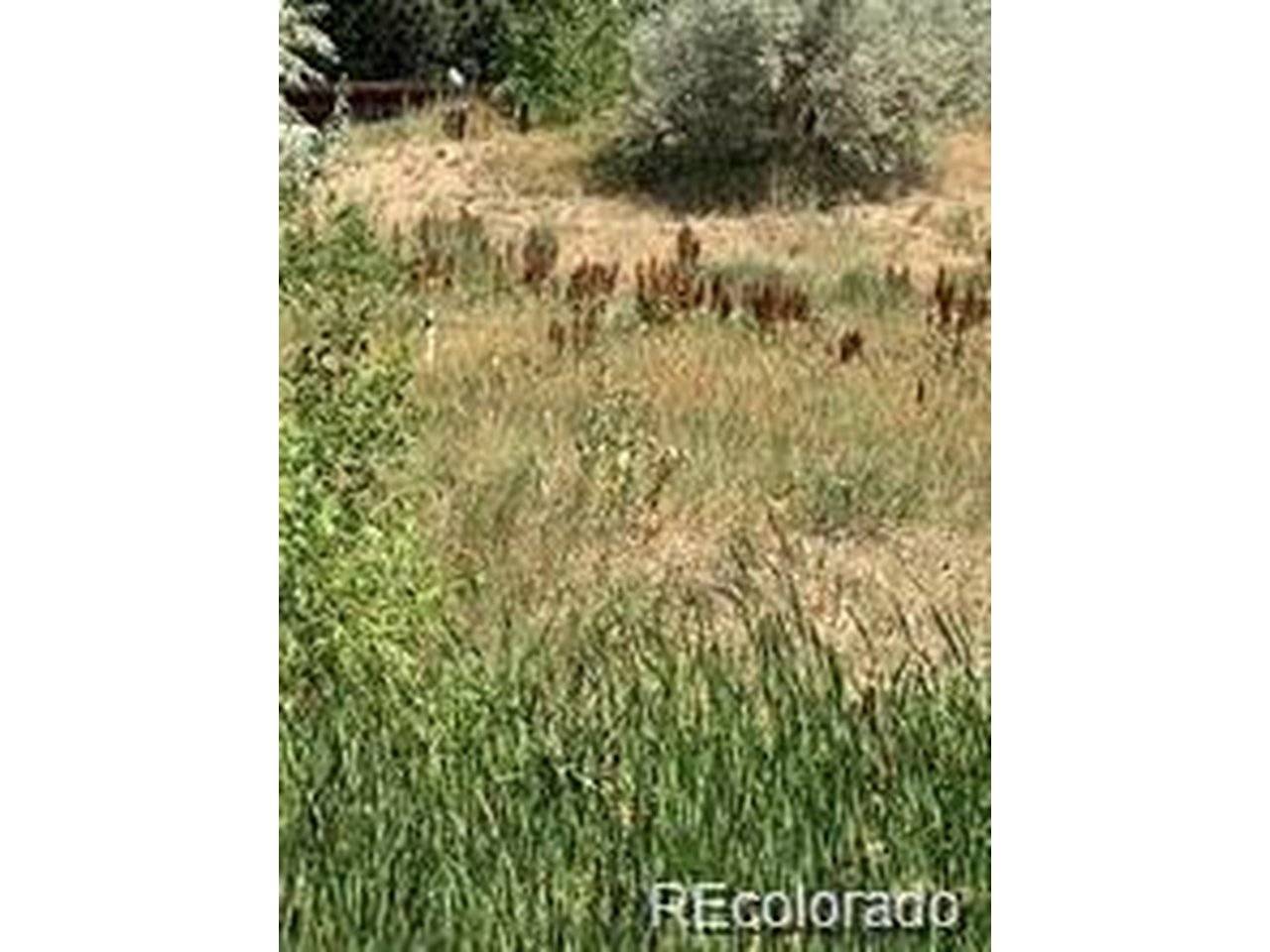 8348 S Carr, Littleton, CO 80128
