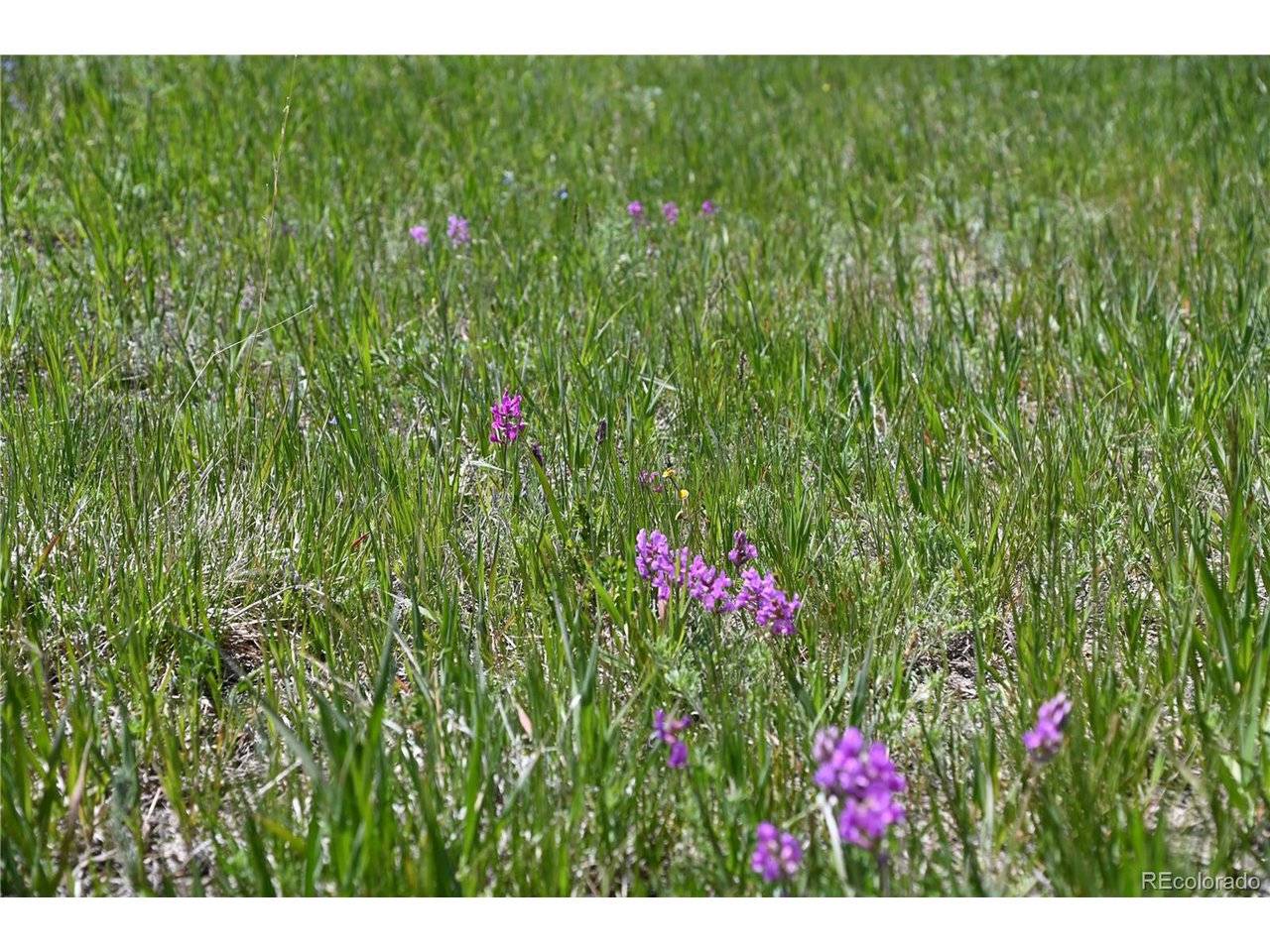 30523 Mountain View, Kiowa, CO 80117