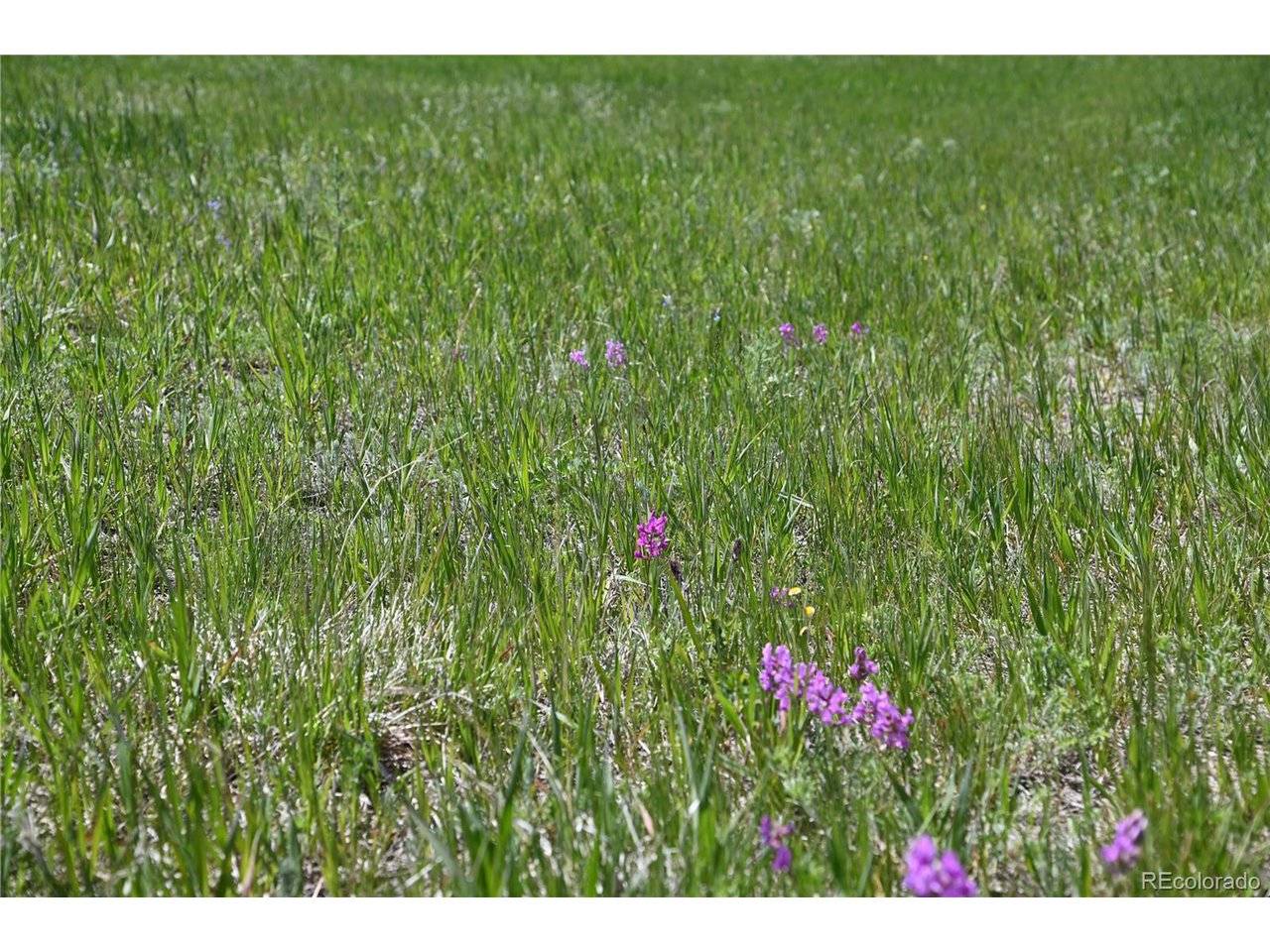30523 Mountain View, Kiowa, CO 80117