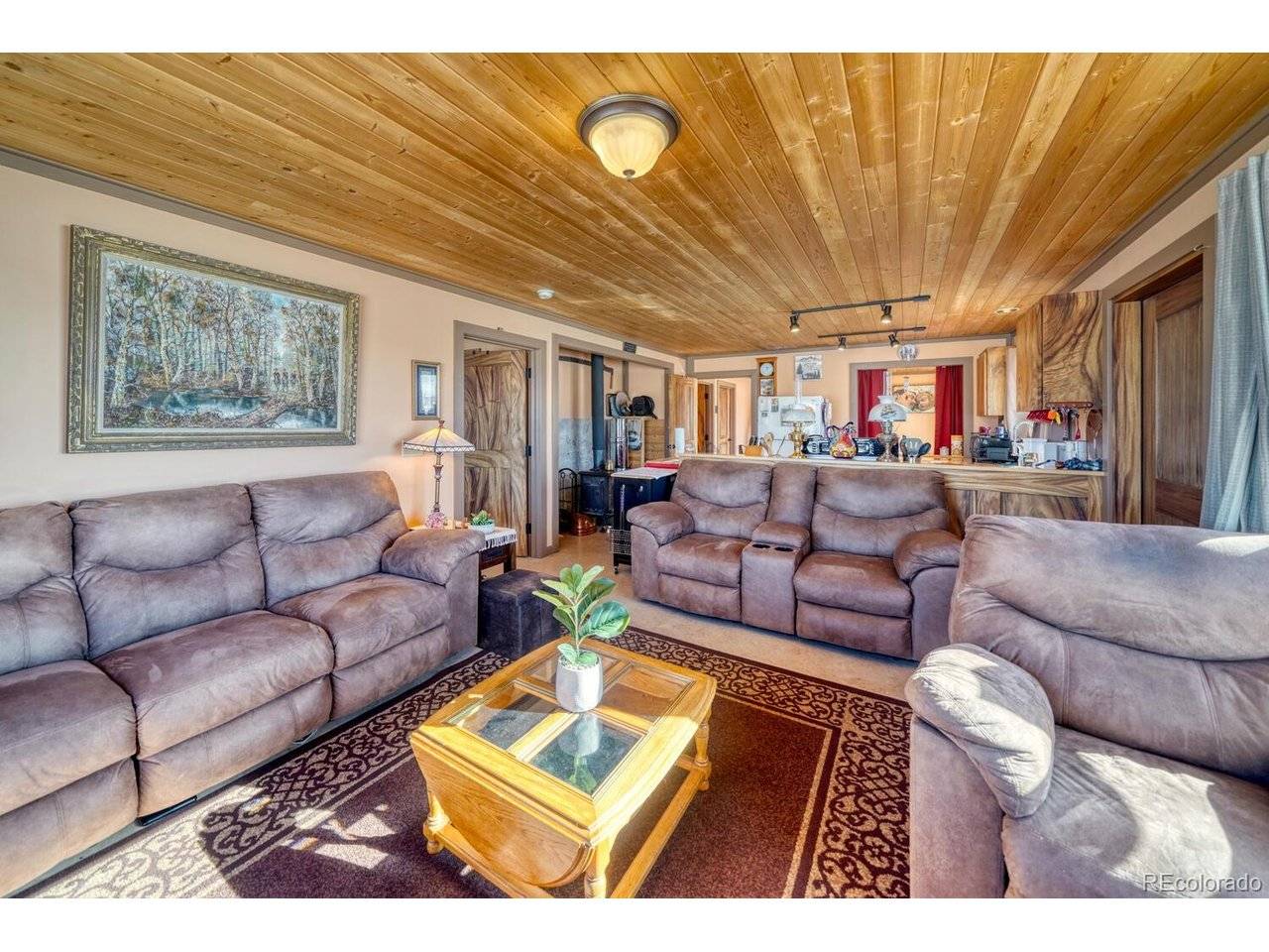 565 Pass Peak, Westcliffe, CO 81252
