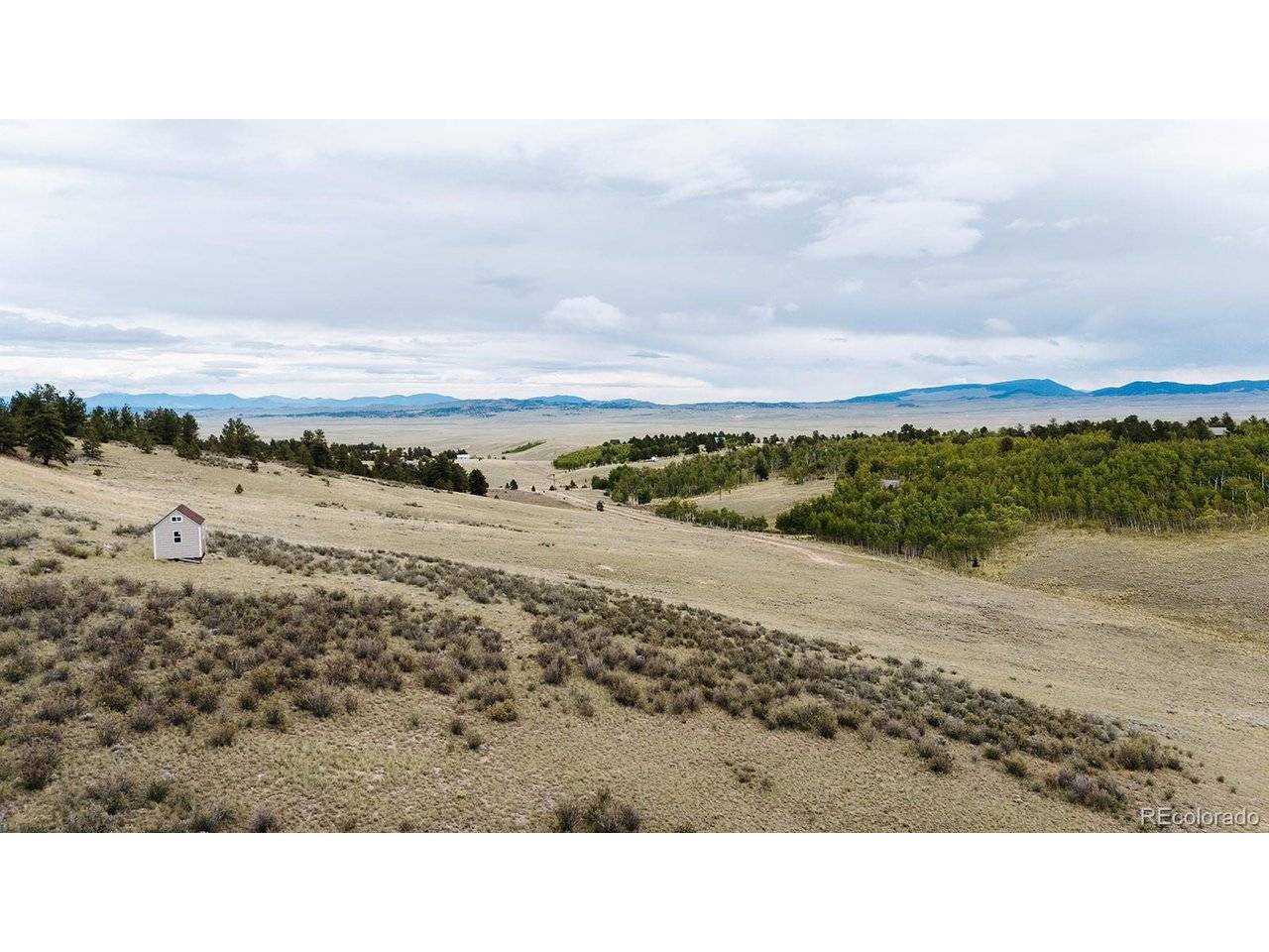 1255 Bolster, Hartsel, CO 80449