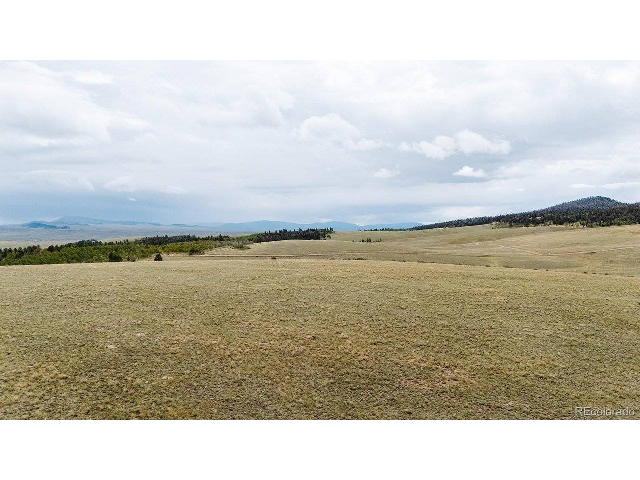 1255 Bolster, Hartsel, CO 80449