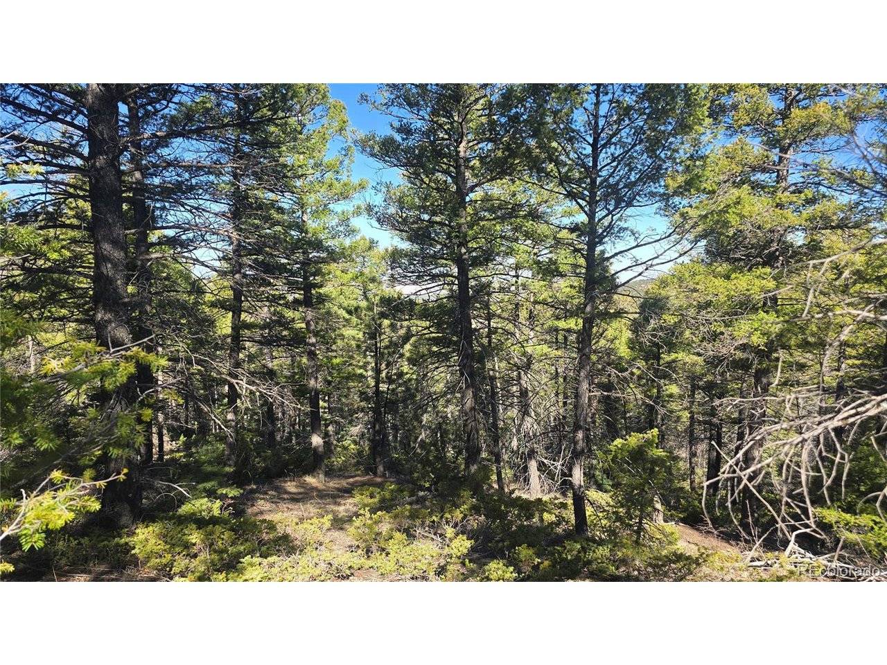 6034 Wood, San Luis, CO 81152