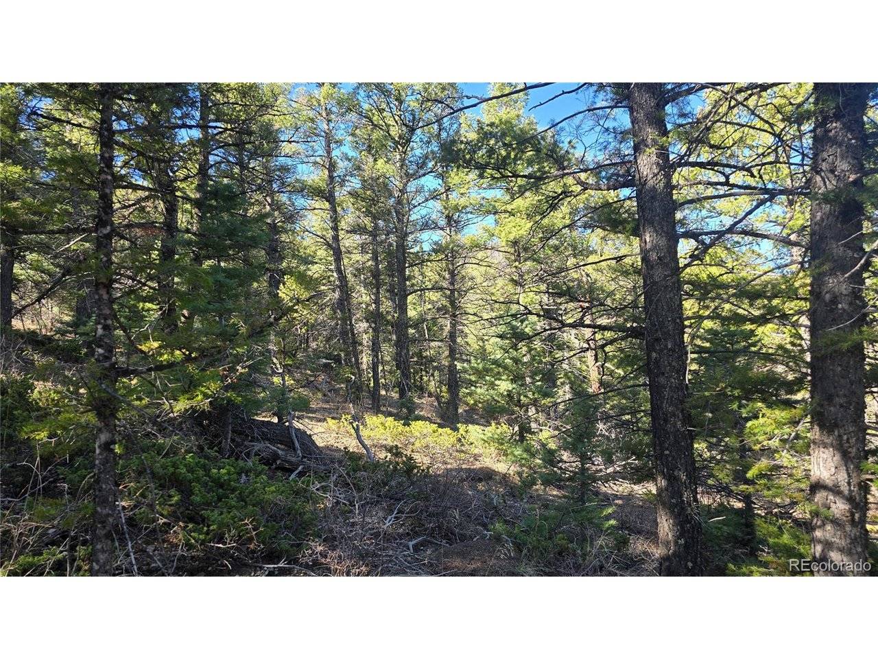 6034 Wood, San Luis, CO 81152
