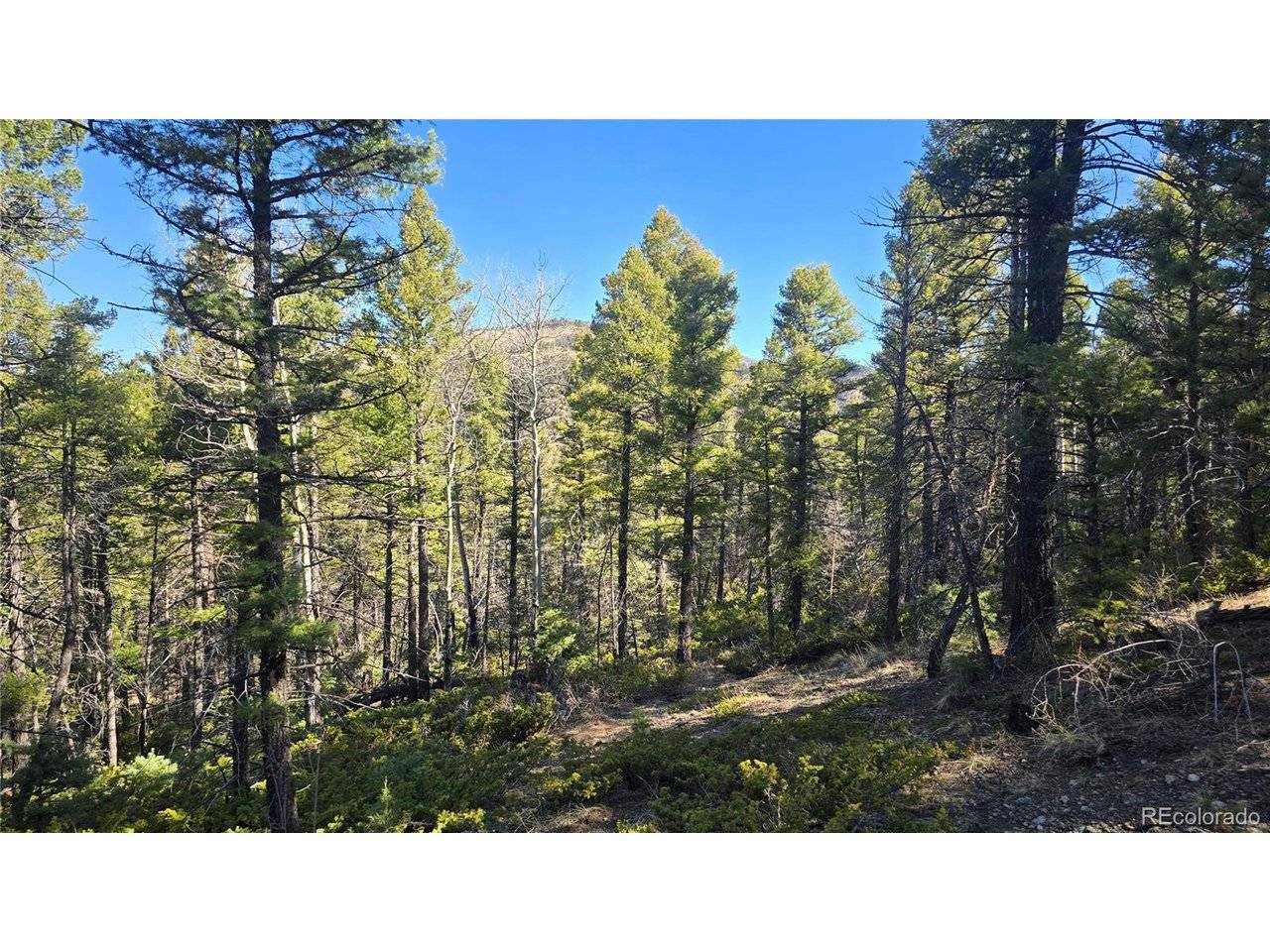 6034 Wood, San Luis, CO 81152