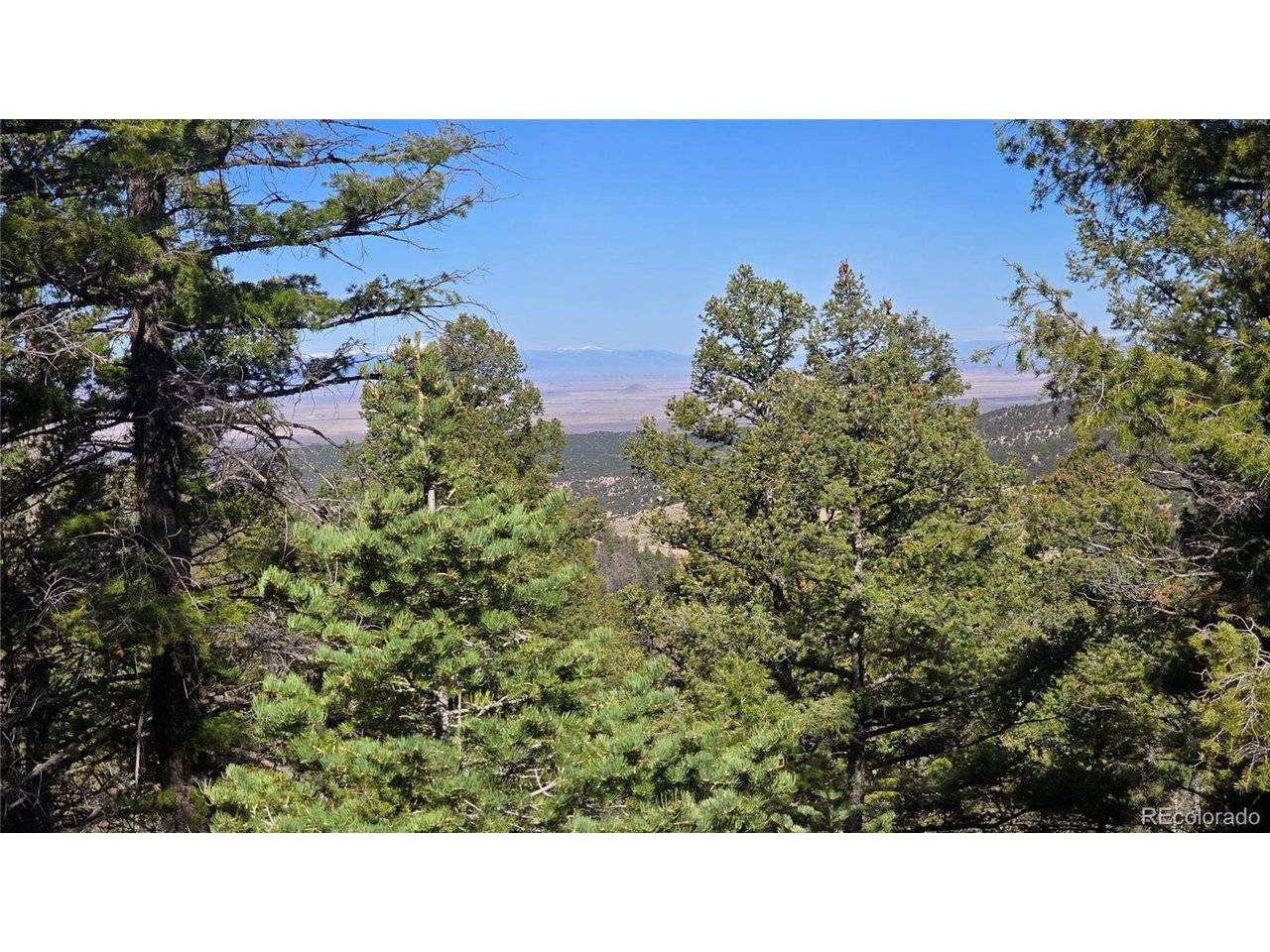 6034 Wood, San Luis, CO 81152